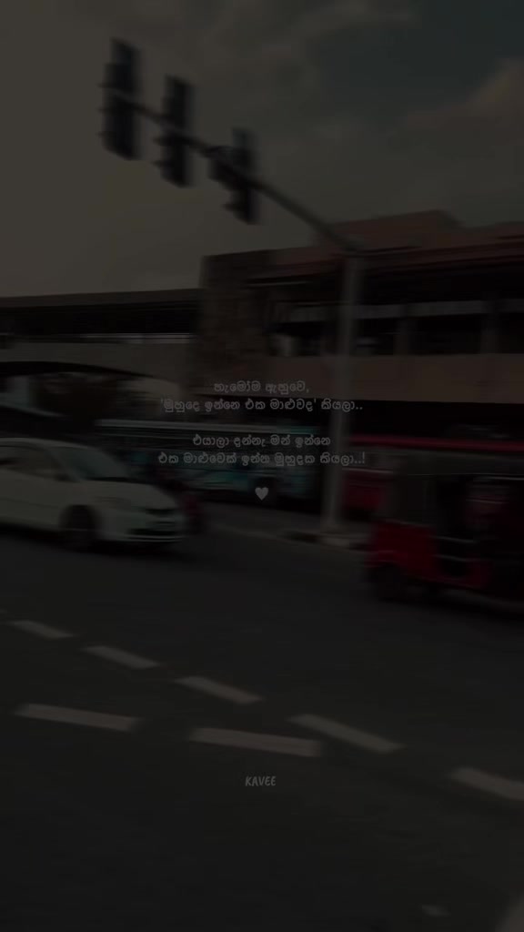 @𝑲 𝑨 𝑽 𝑬 𝑬 🪼