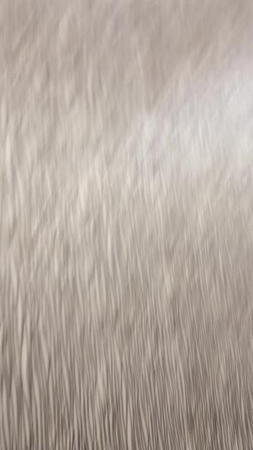 @alyzamughal_4