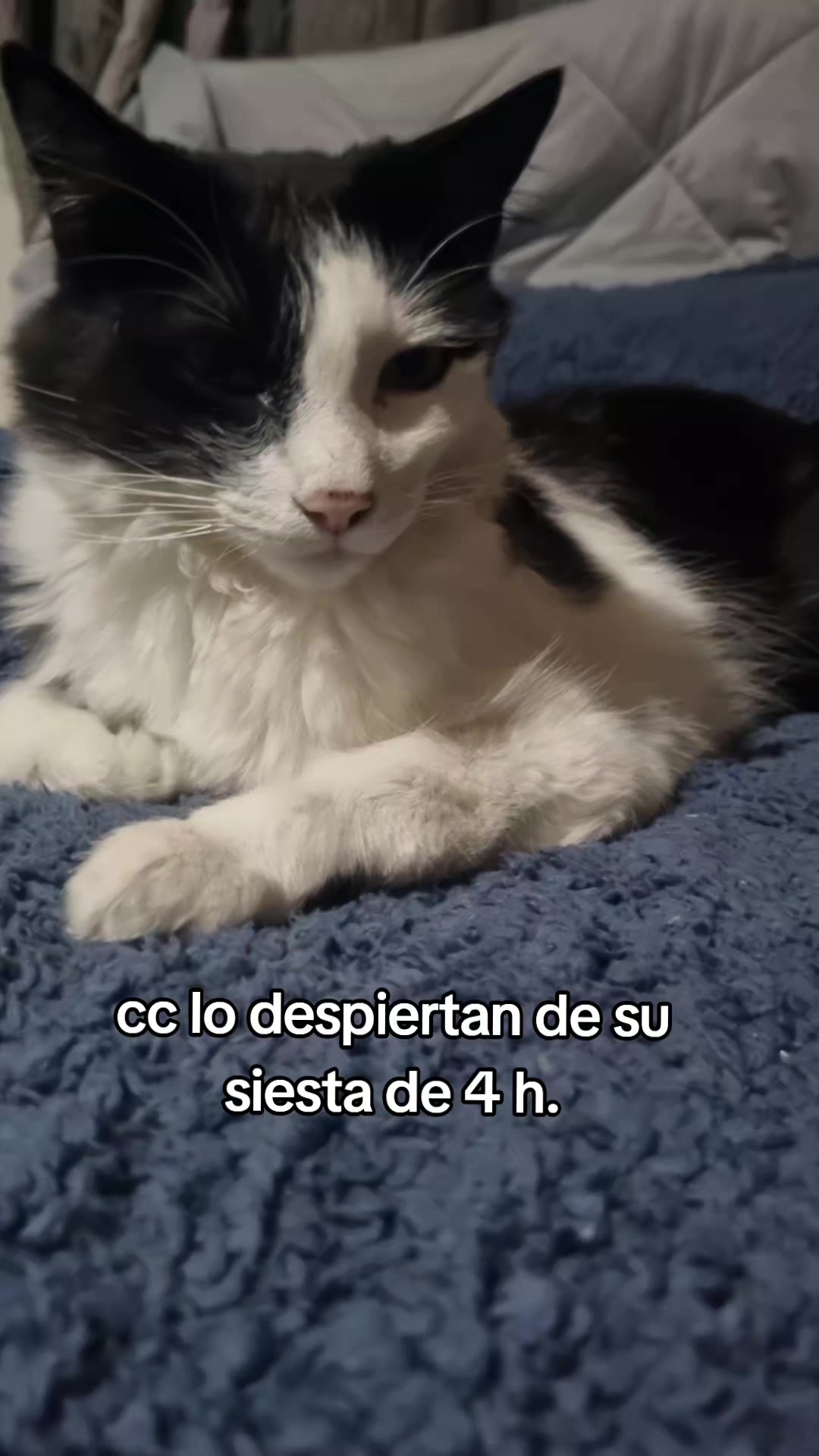 @MaryBerry_0211