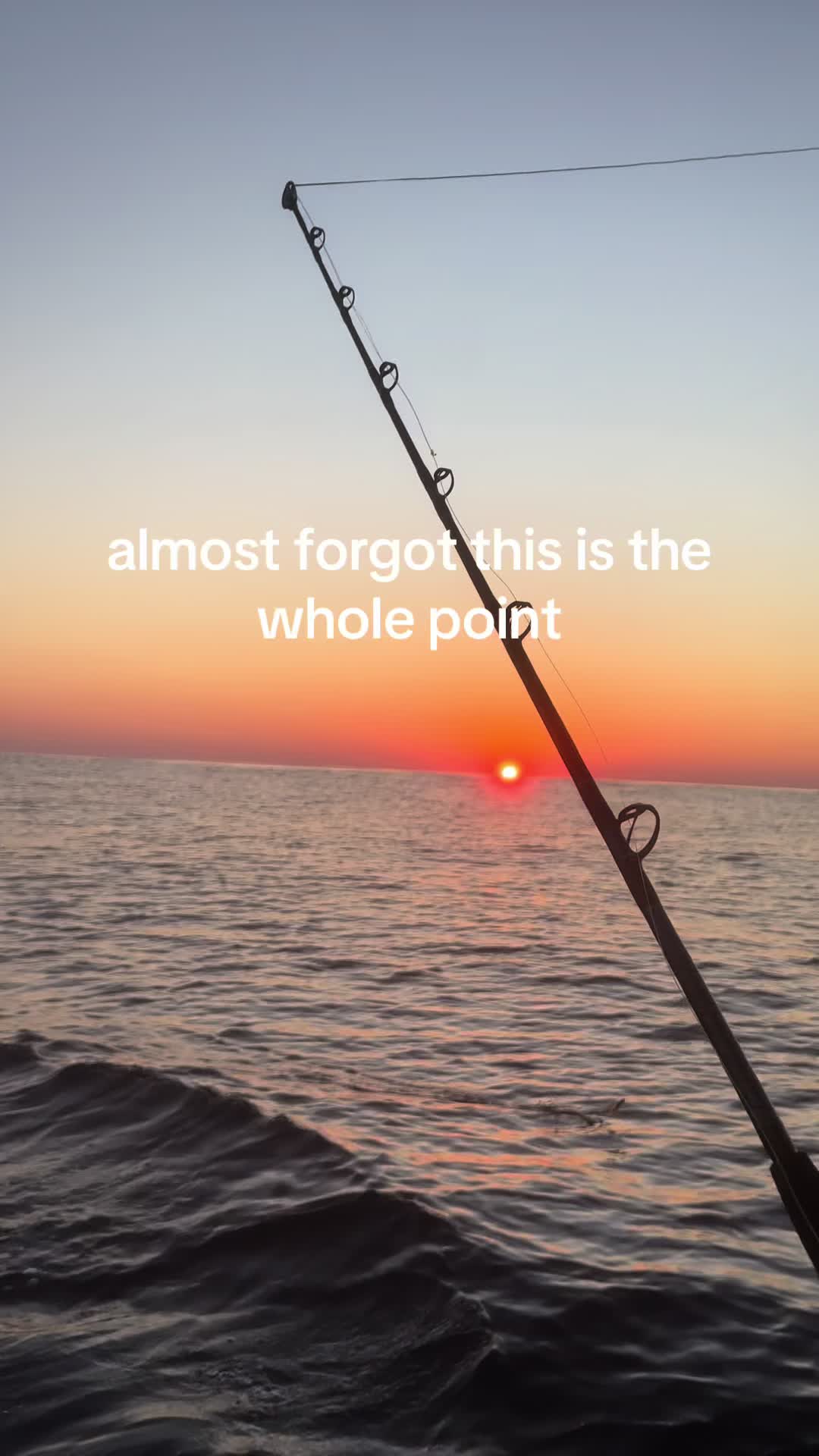 @ameliaissocool