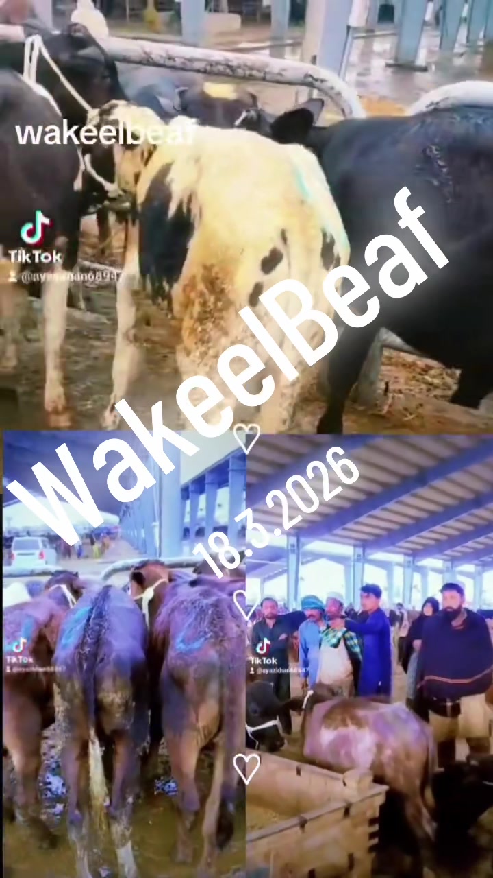 @wakeelbeaf