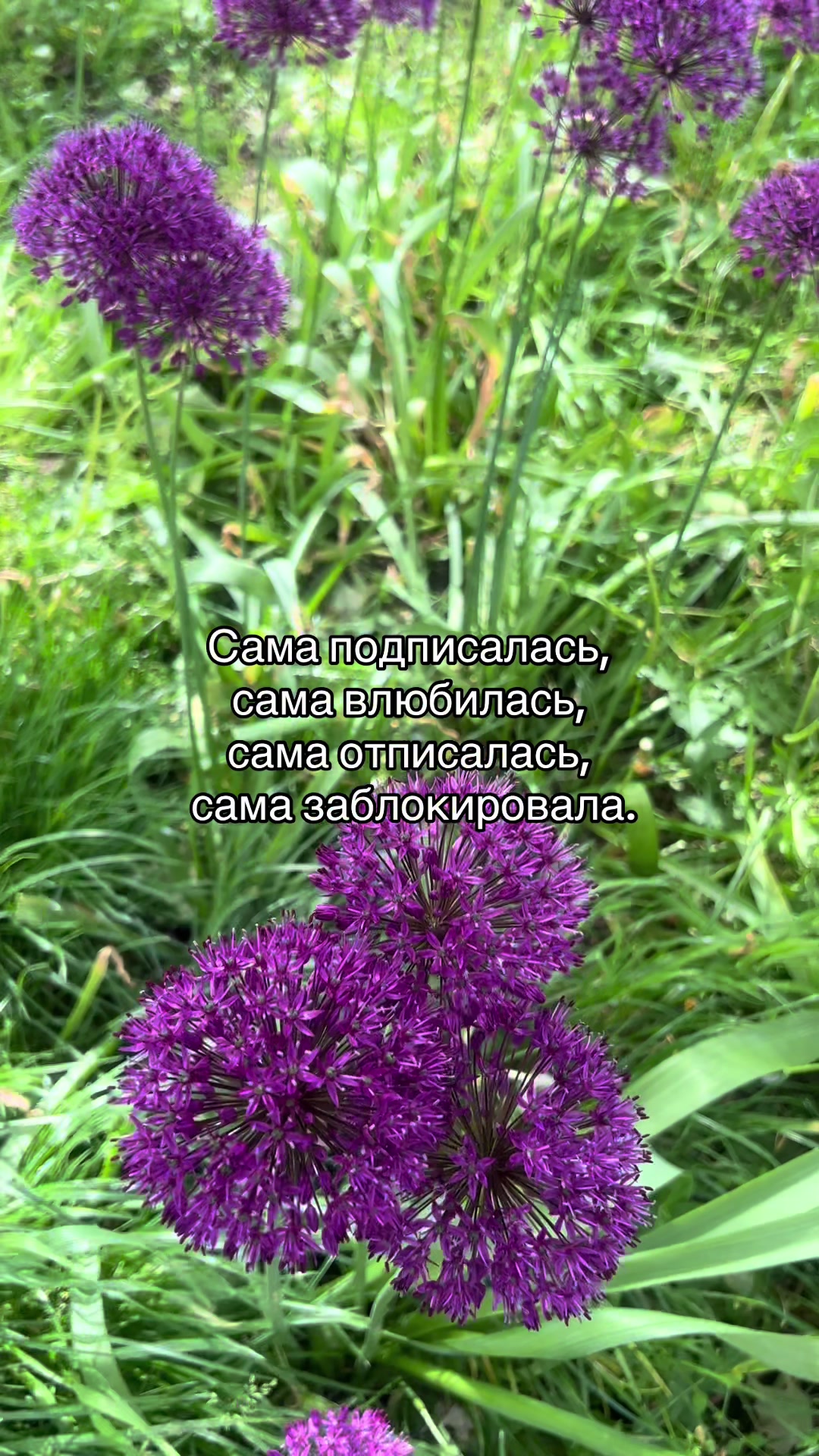 @🐝