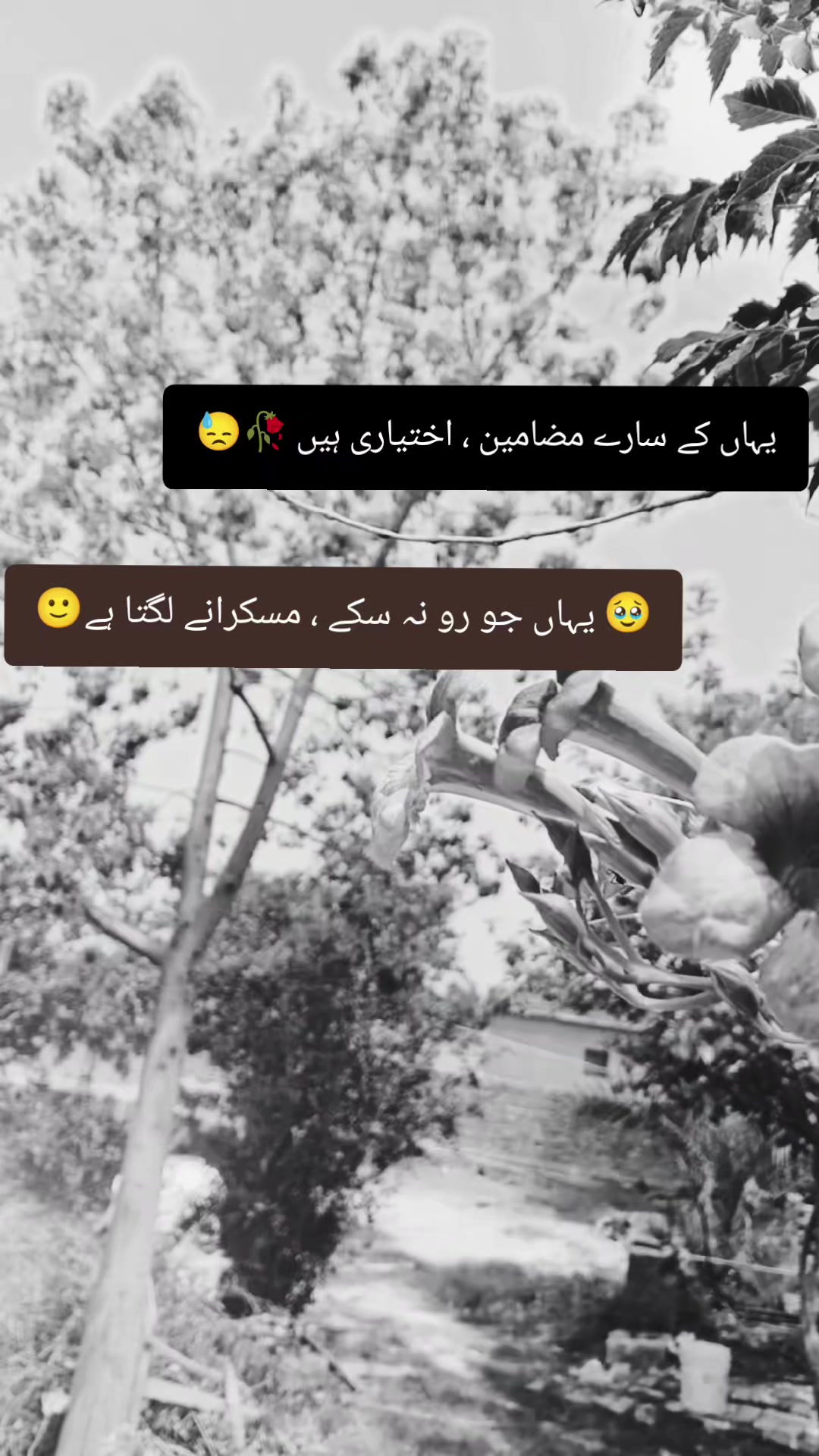 @&hearts;🌛❤️F&hearts;a&hearts;d&hearts;i&hearts;
