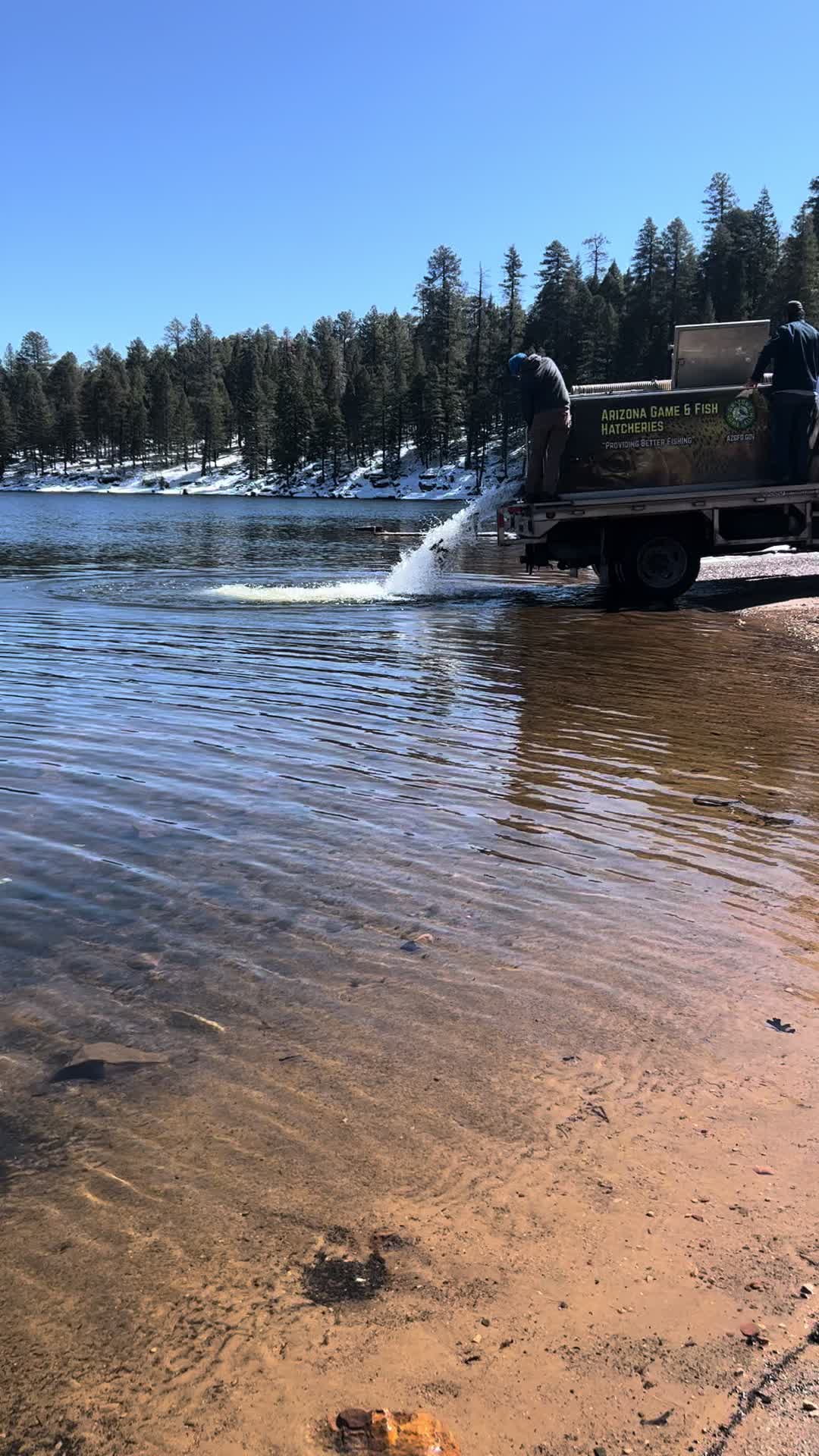 @David explore Arizona 🌲🎣