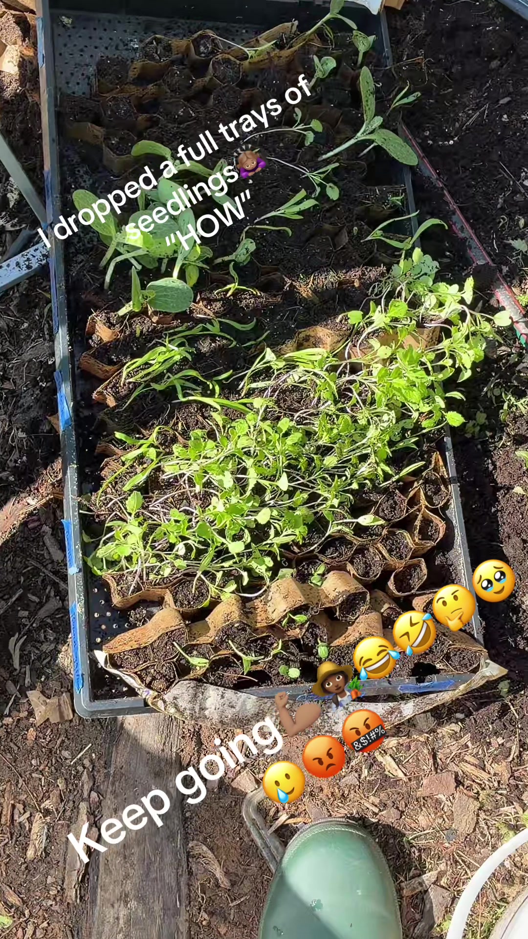 @gobigadventuresfarm