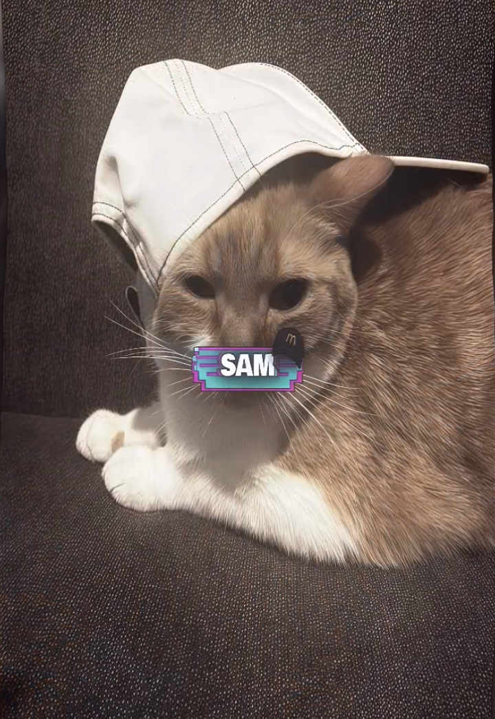 @Uzumaki Samsź 𝙂𝙂