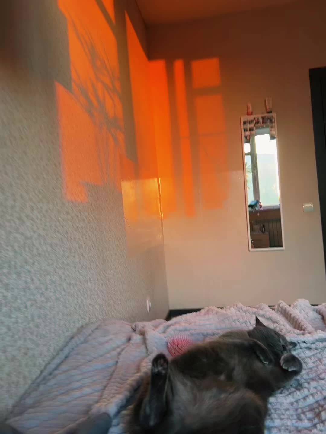 @🤫