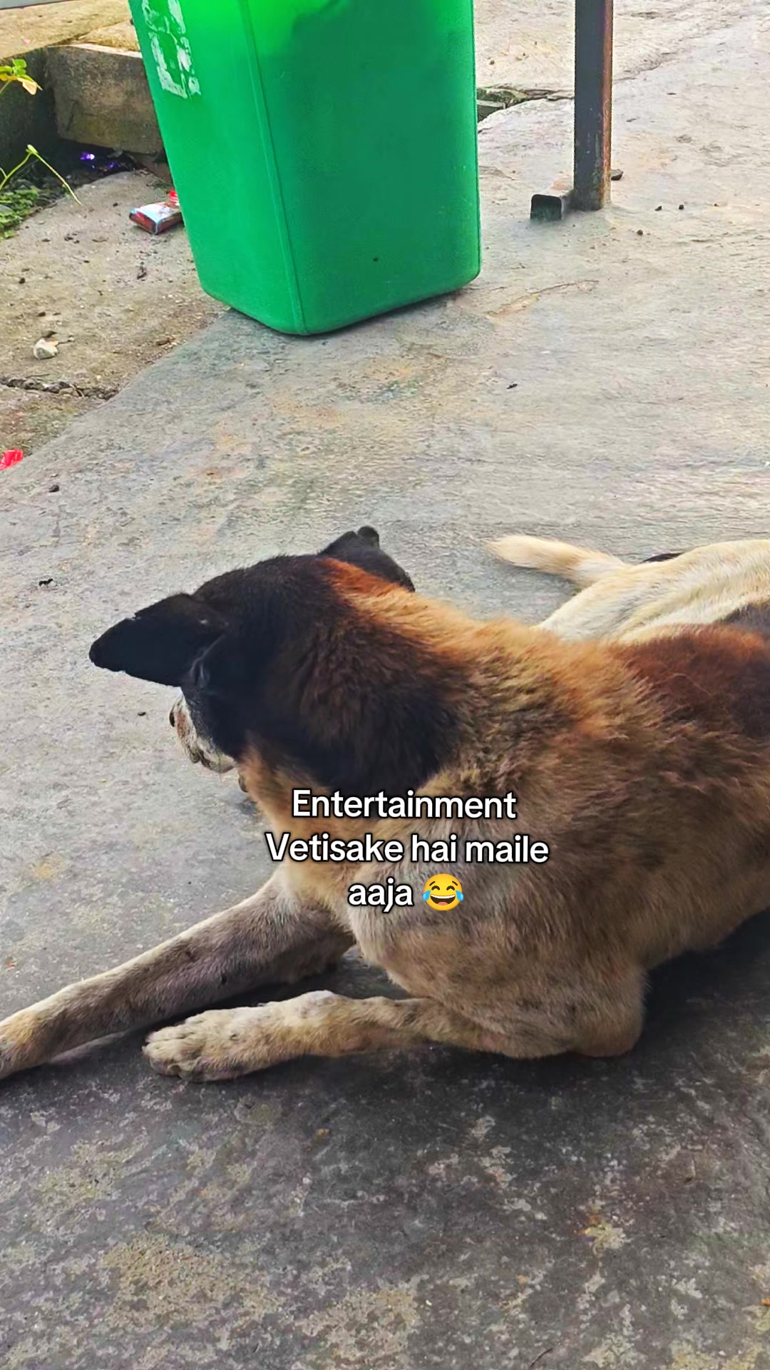 @𝐌𝐫.𝐉𝐡𝐚 🥷