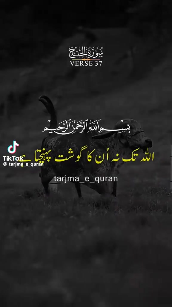 @Abdul Mateen