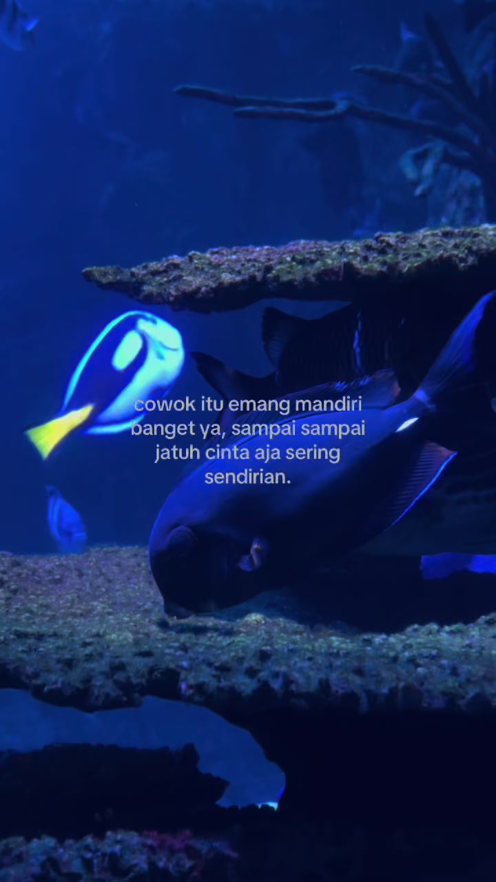 @𝗗𝗶𝗮𝗻𝘆