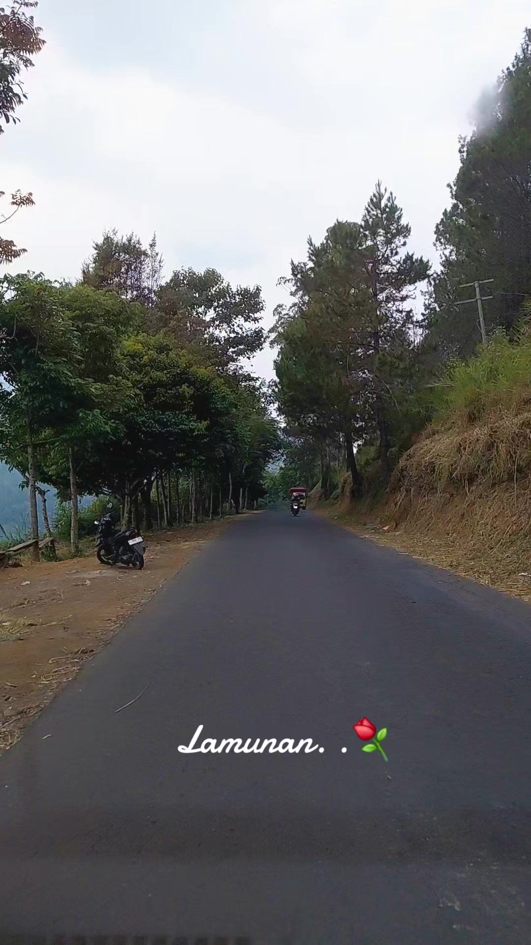 @top_garut