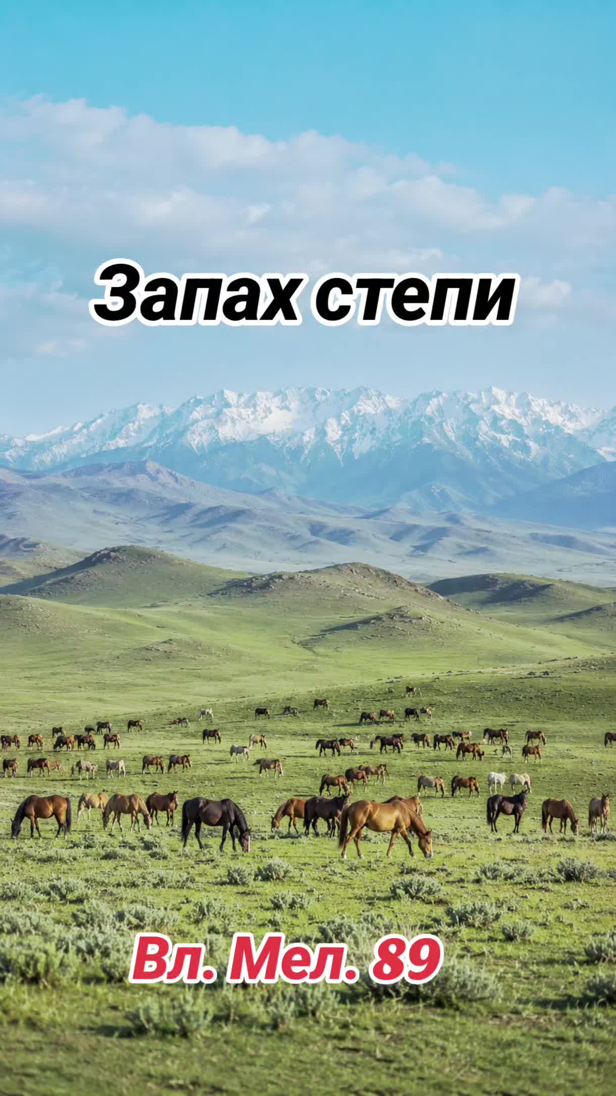@Вл. Мел. 89