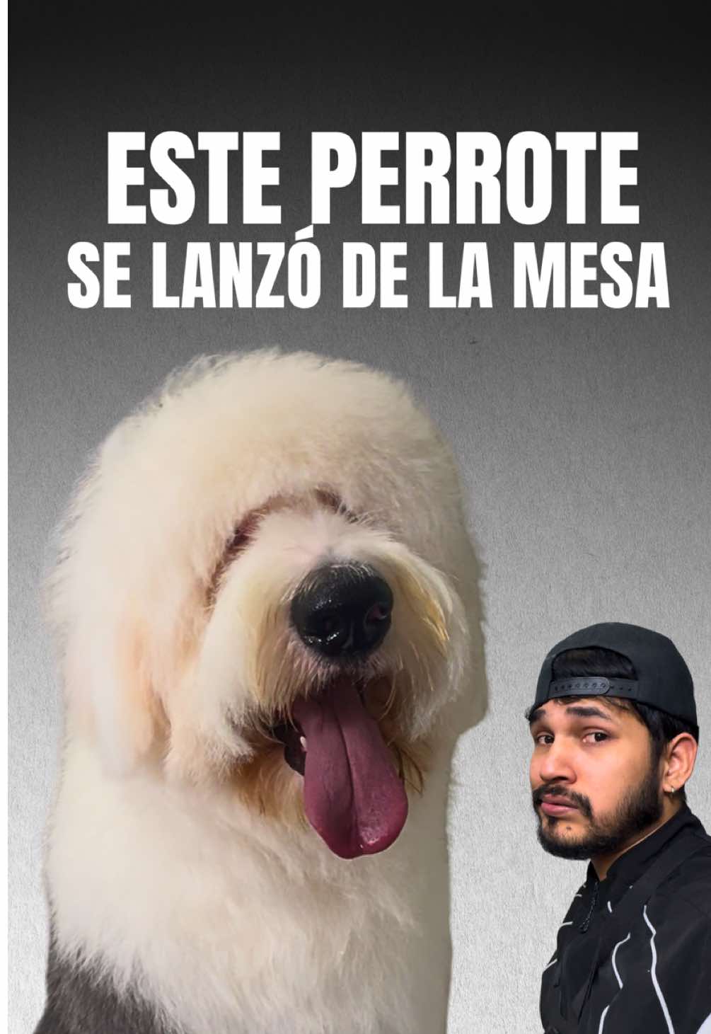 @VICTOR THE GROOMER