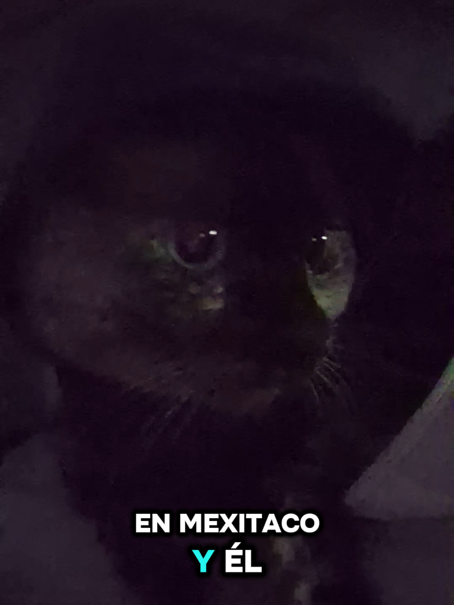 @Vivos_Yah