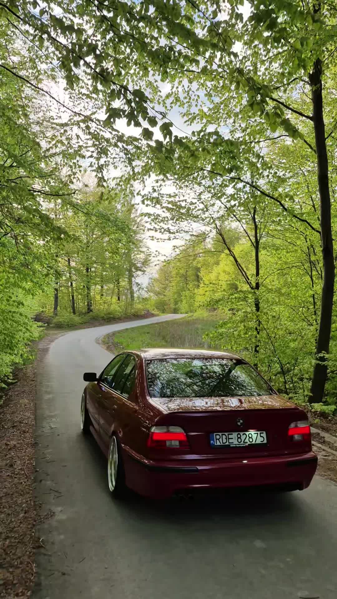 @Gienas e39