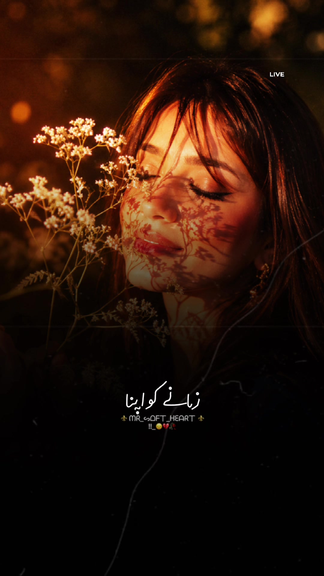 @Mahnoor Khan