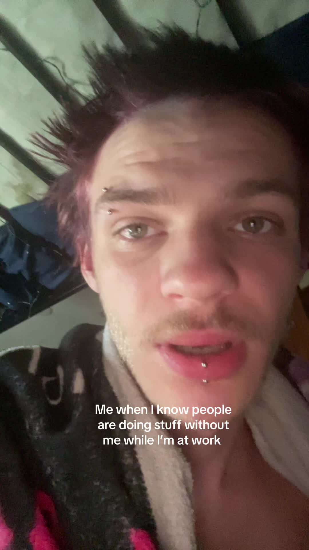 @antsinmypants