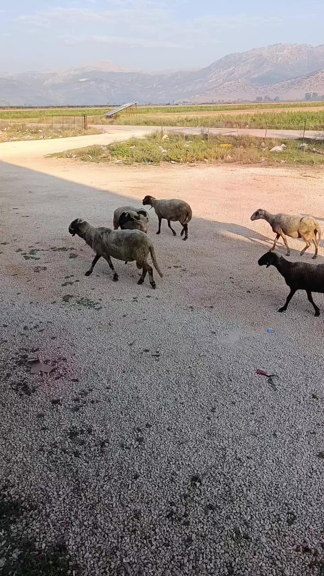 @Nasuh Akbaş