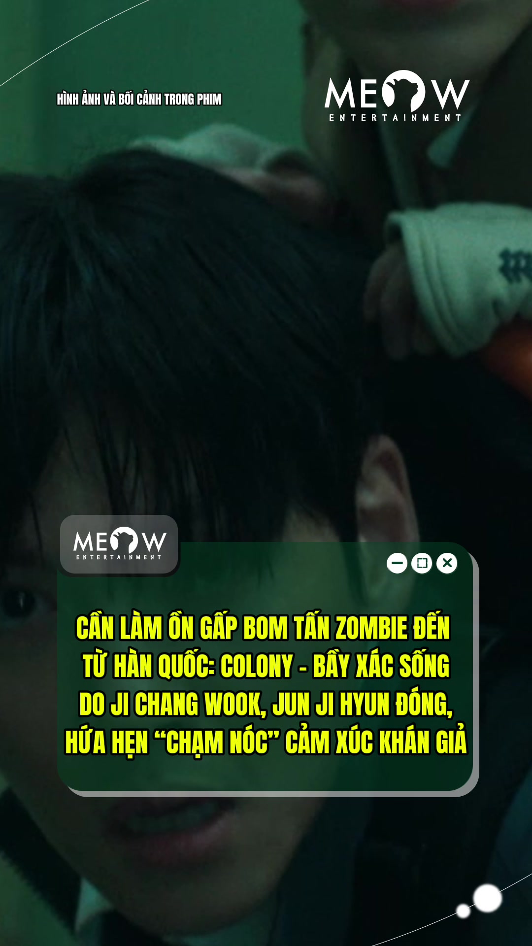 @MEOW ENTERTAINMENT