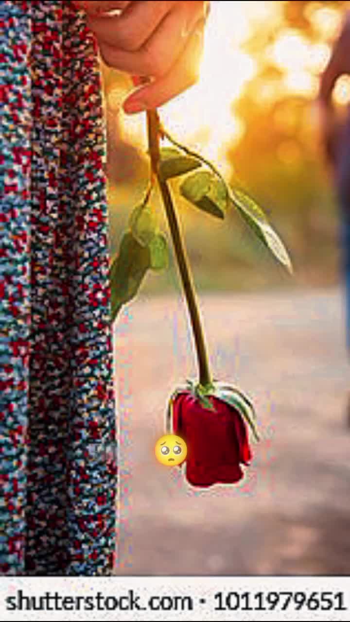 @Hina Qureshi