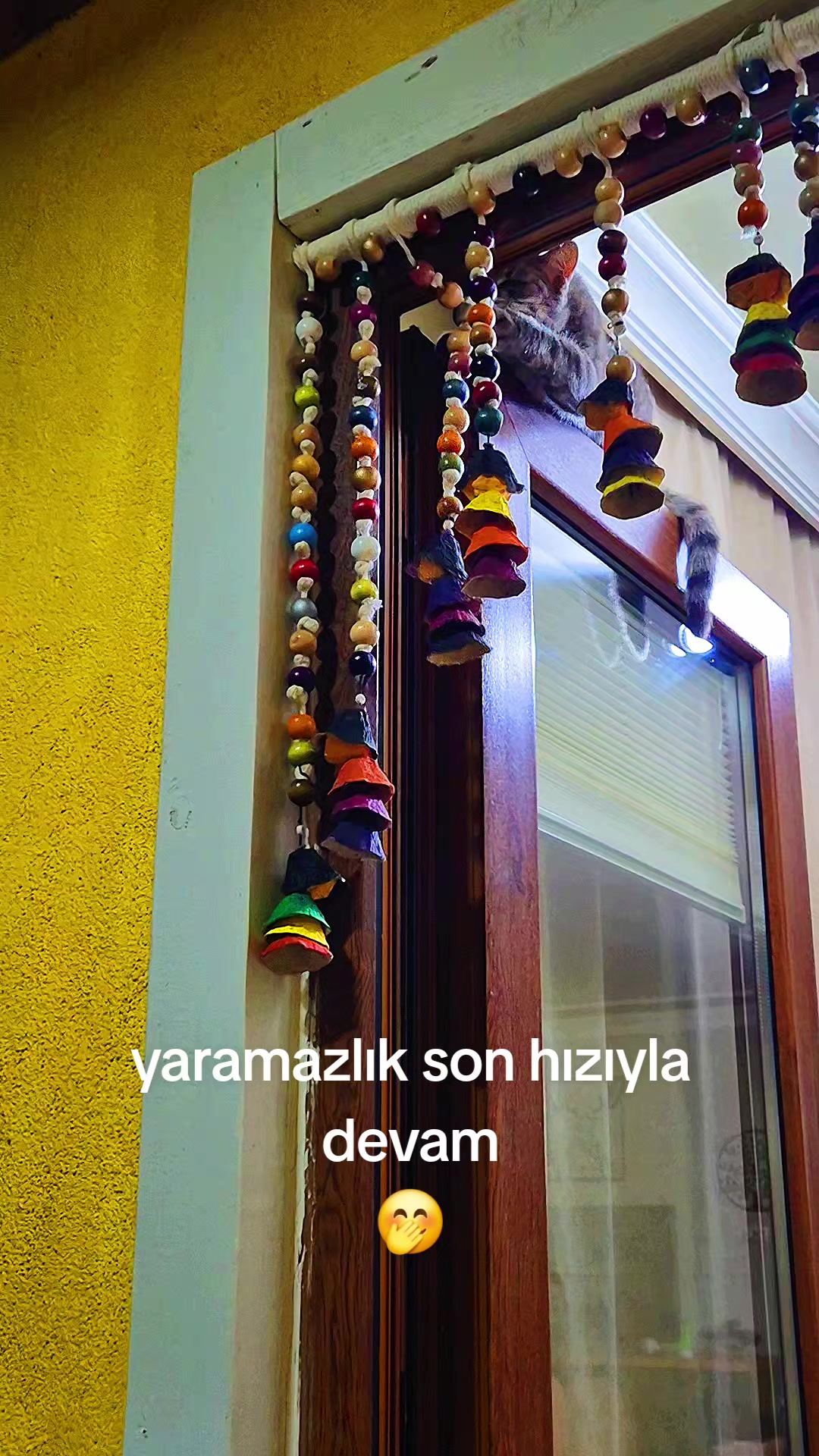 @delikizlinnie