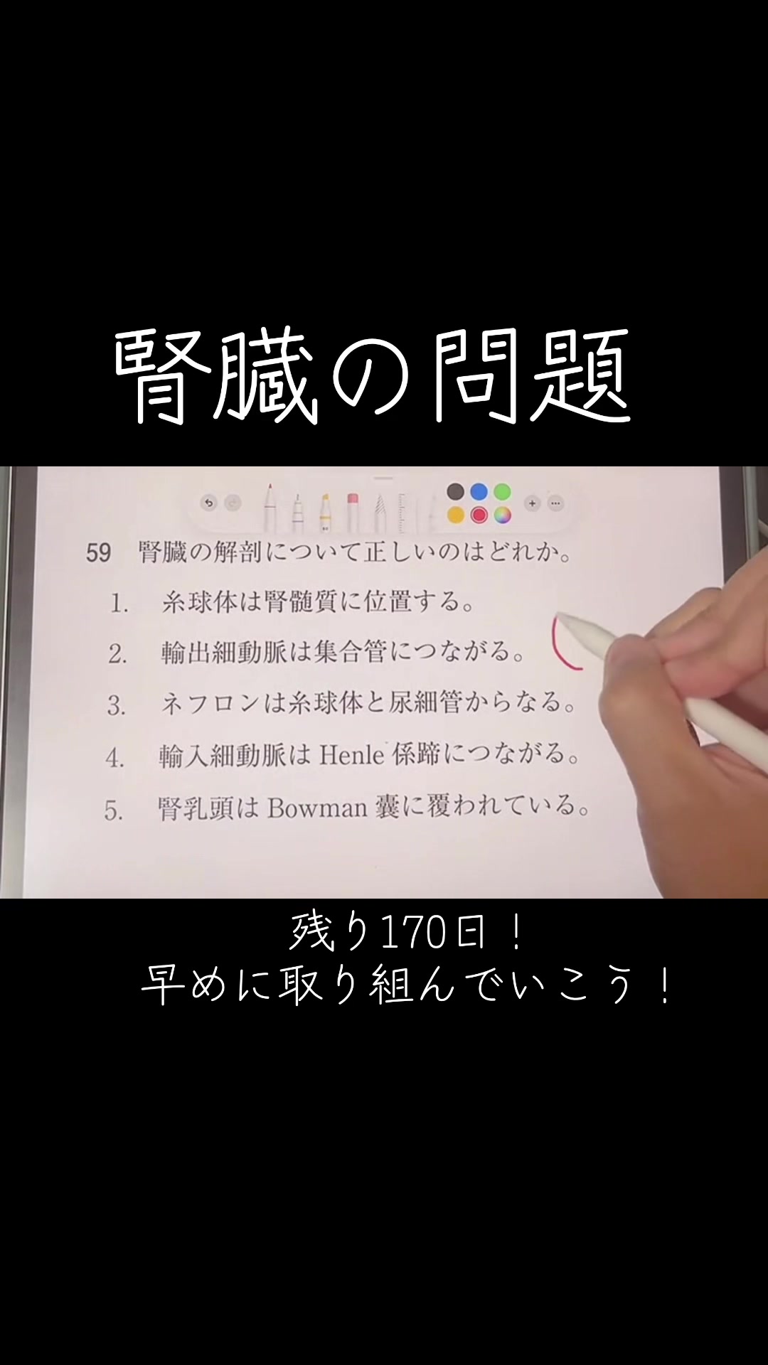 @第62回国試対策(ネクストリハアカデミー)