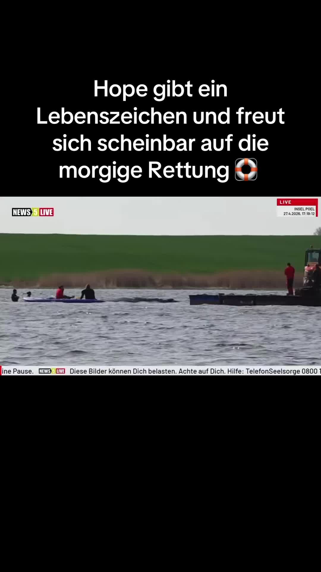 @Rettet Hope 🐋