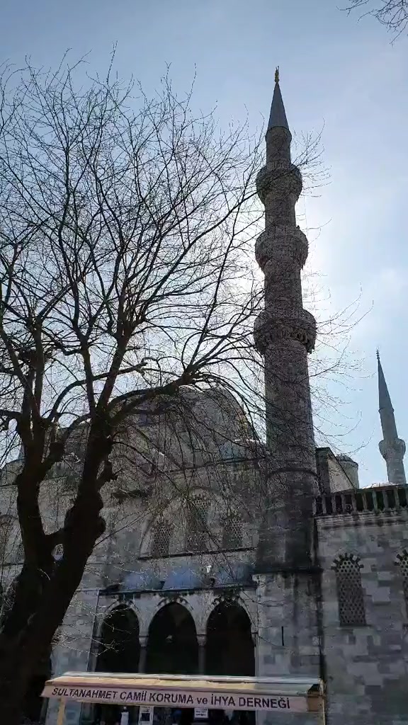 @𝐒𝐎𝐁İ𝐀𝐑𝐀𝐍𝐀🌼