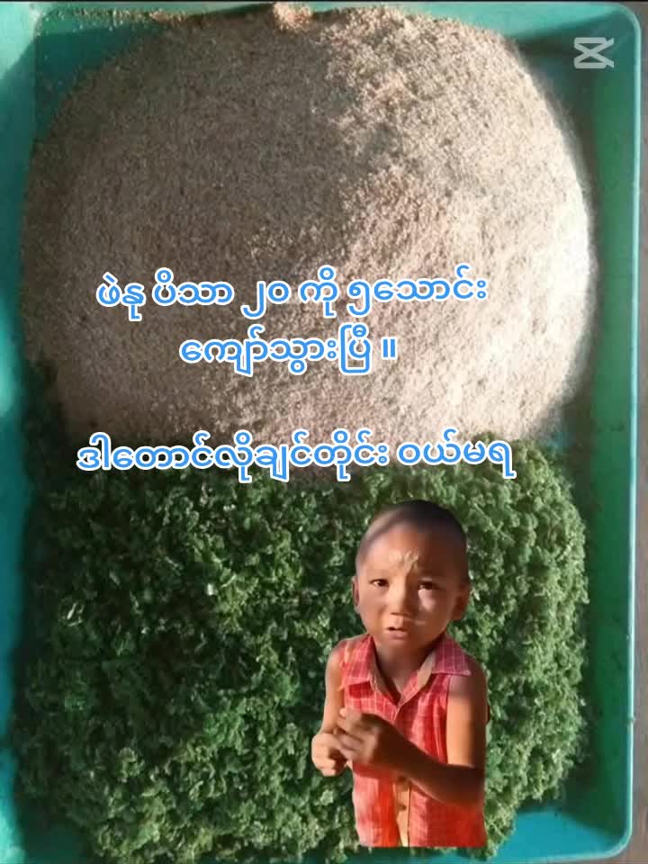 @"ရွှေဖြူးသား"၀က်မွေးမြူရေးခြံ