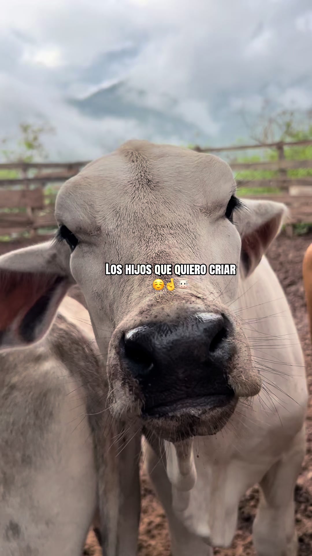@🐮Itzel🫧