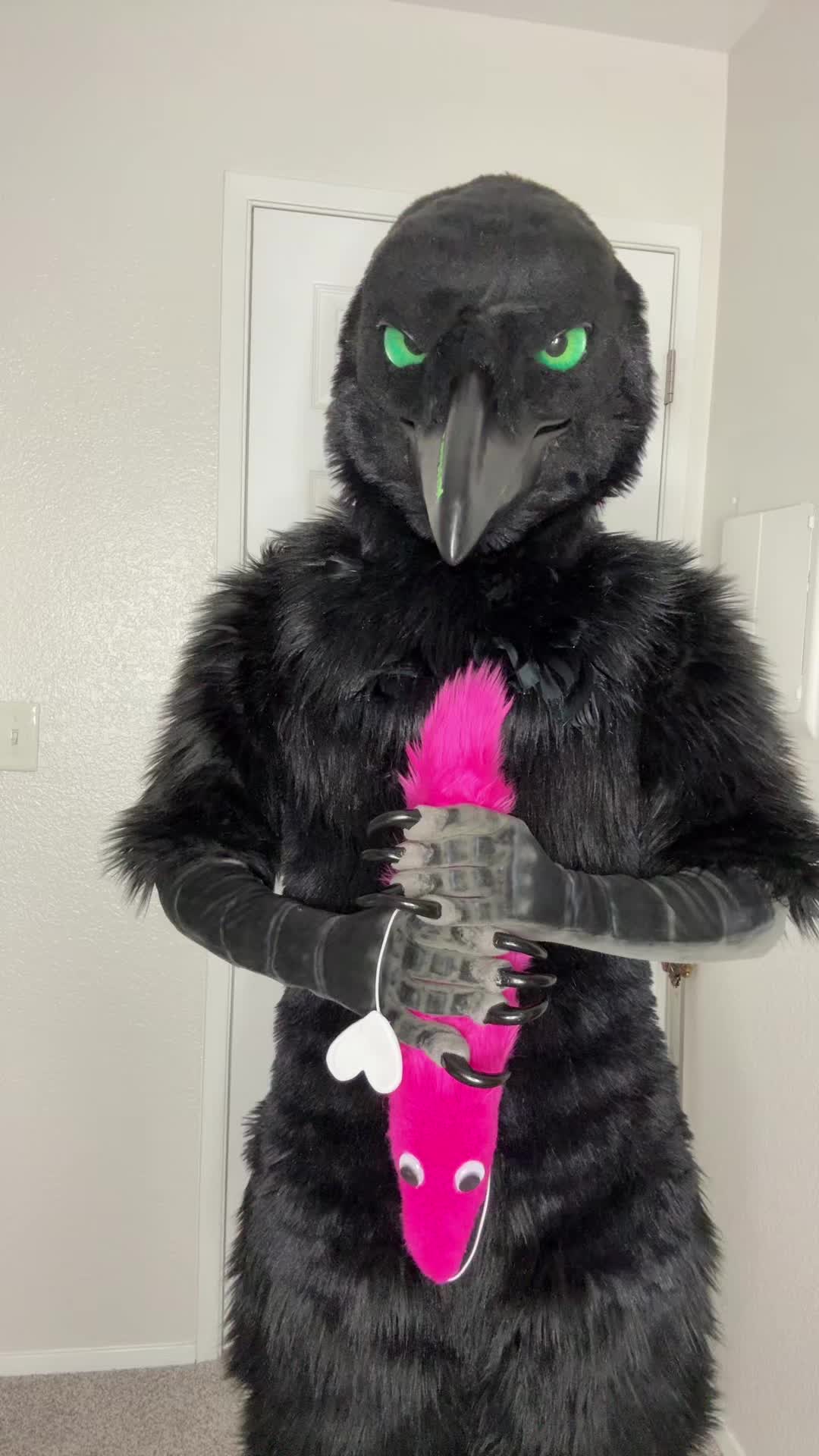 @Aeko🔜Furlandia 2026