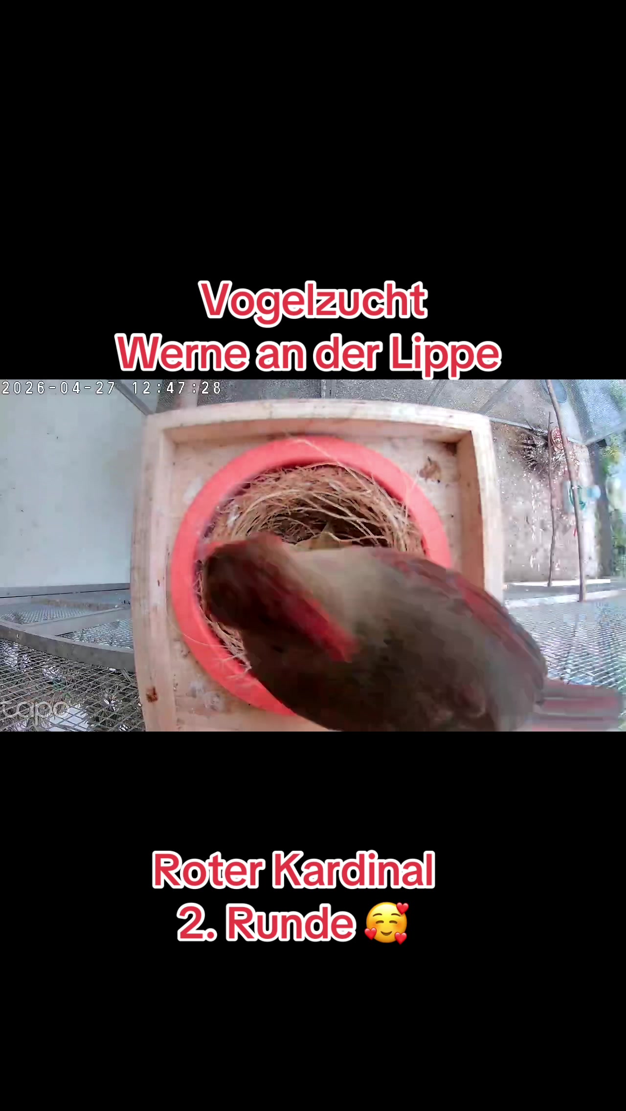 @Vogelzucht Werne an der Lippe
