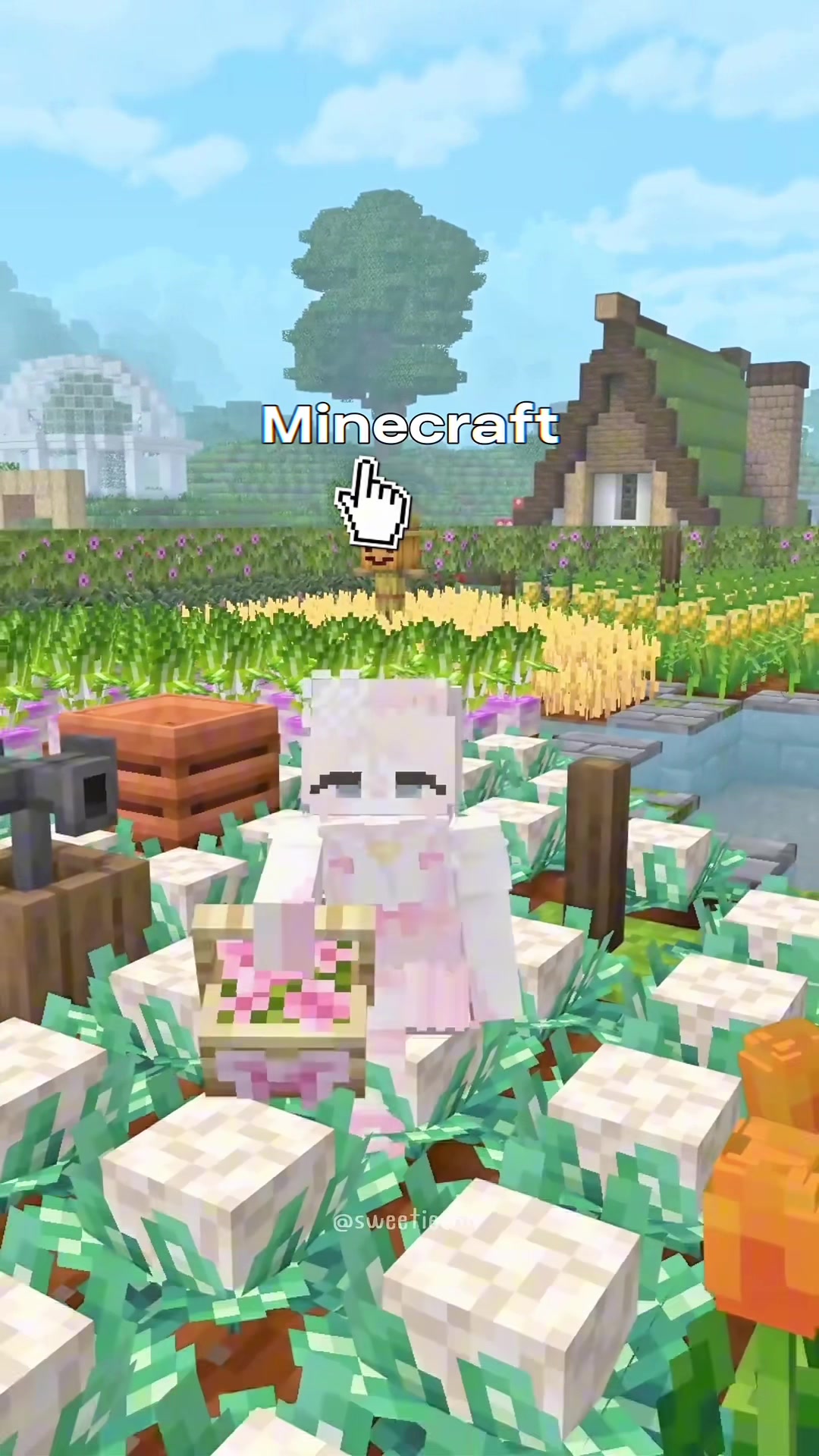 @𐙚 CCHA ( ⺣̤̬︎︎ ) ✿˖°