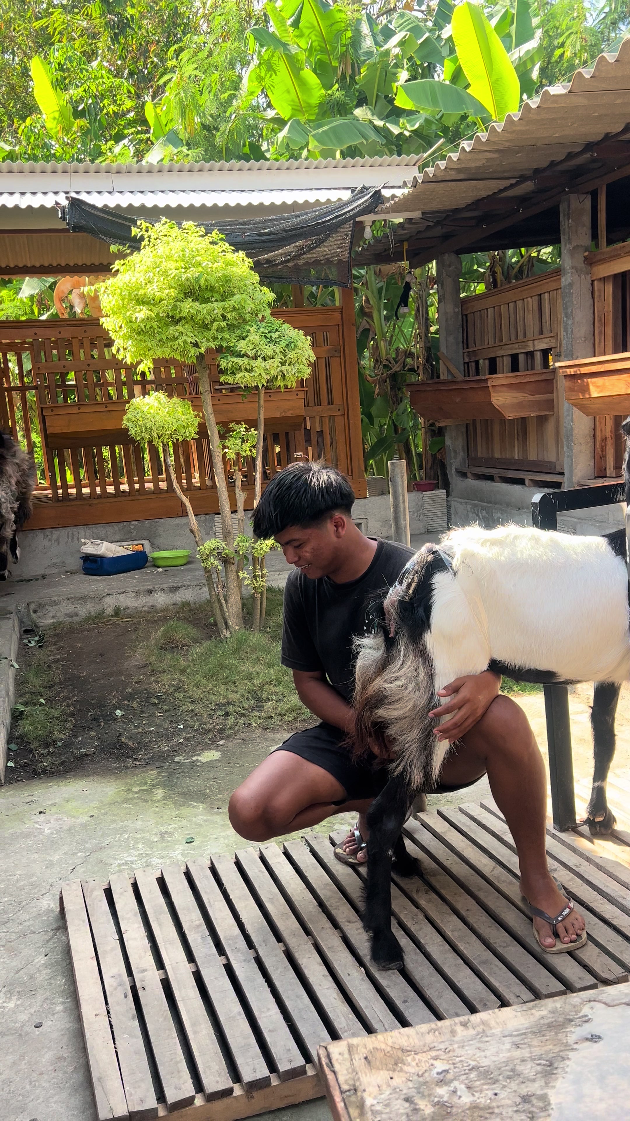 @BRIAN FARM