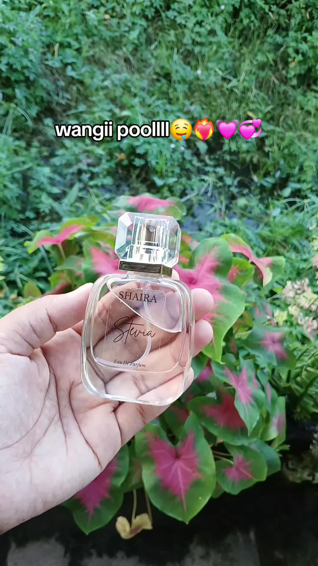 @kak_iii🦄🦋🪽🦢🕊