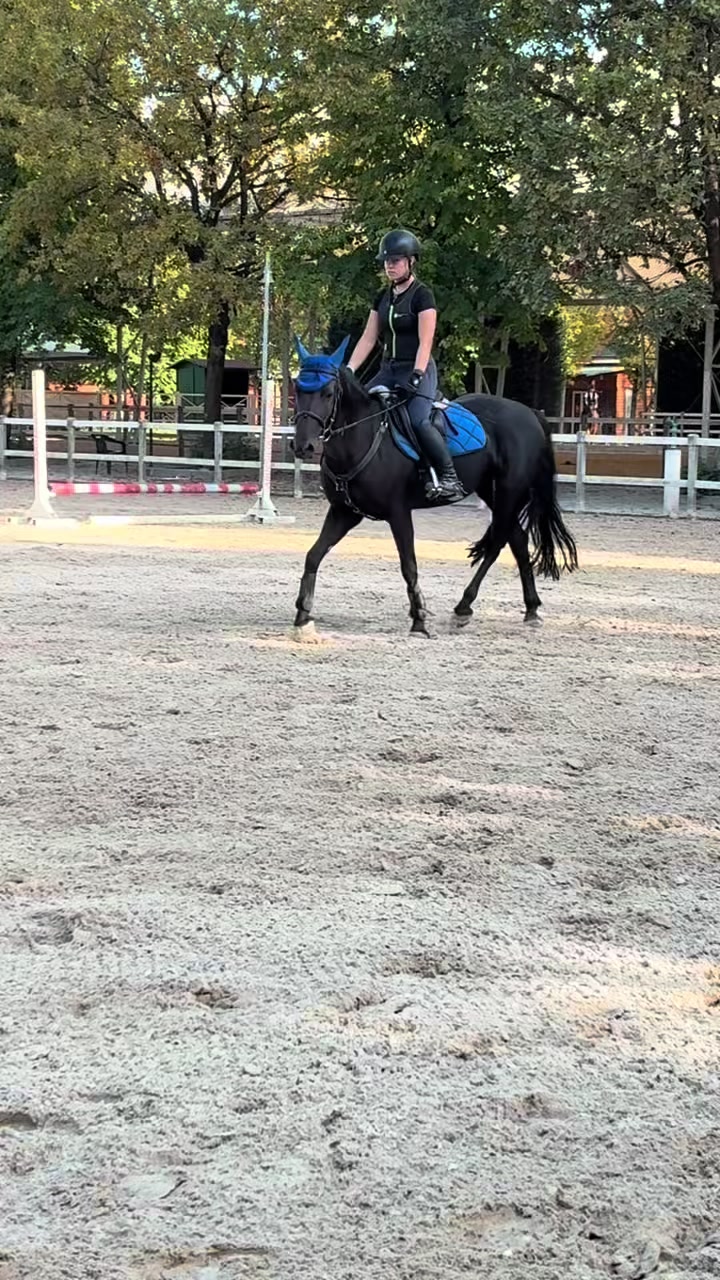 @Elisa.Bonacina
