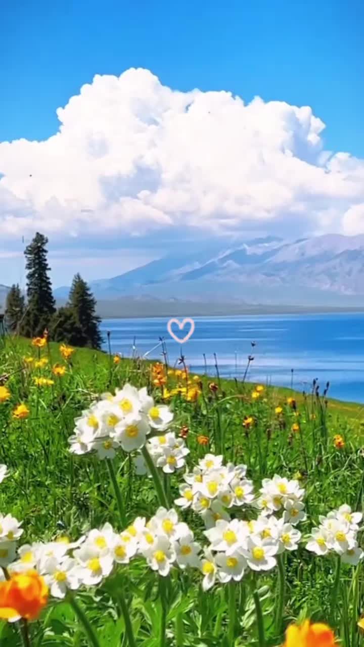 @Radmila