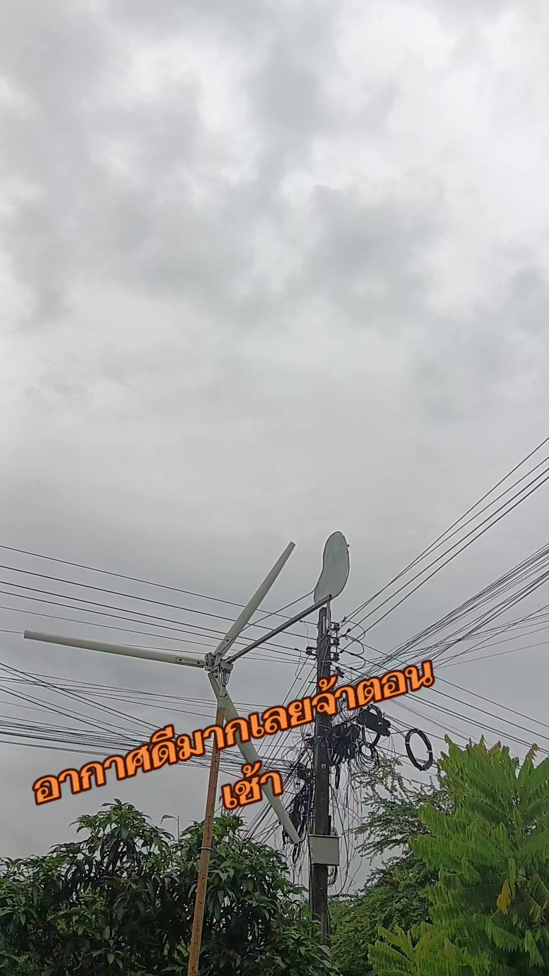@pranee