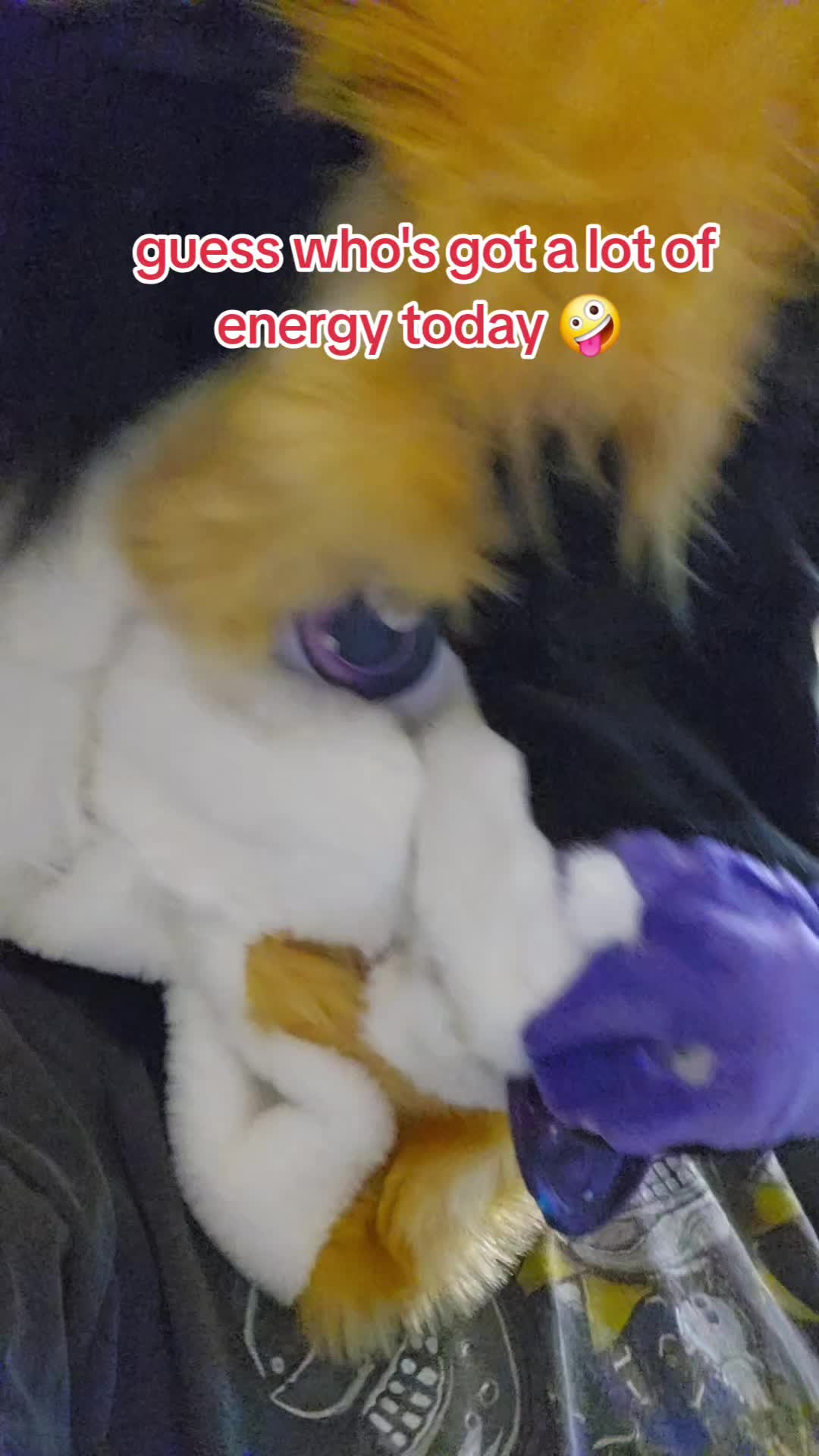 @oreothelynx🔜CFF
