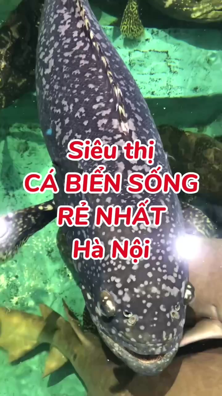 @Cỏ Lau