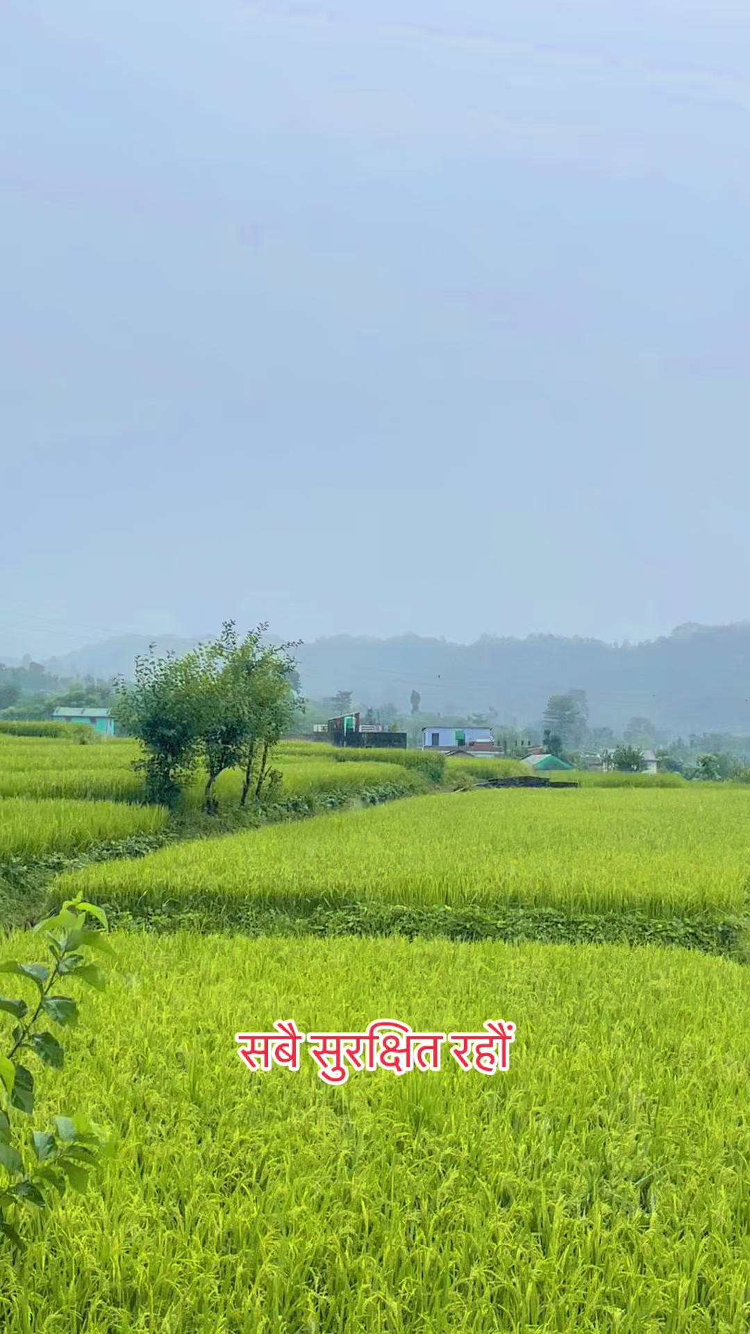 @🇳🇵Bal Krishna KC🇳🇵
