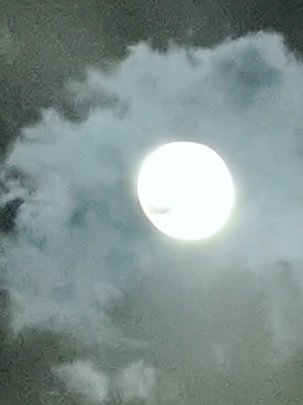 @ابوجليد محمد