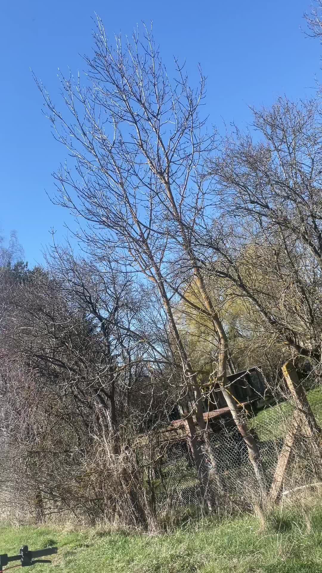 @Mtb.Ivo