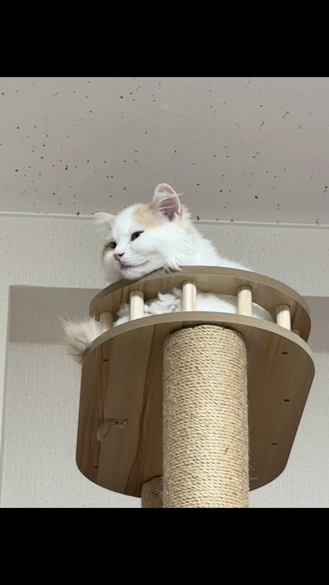 @Kiki