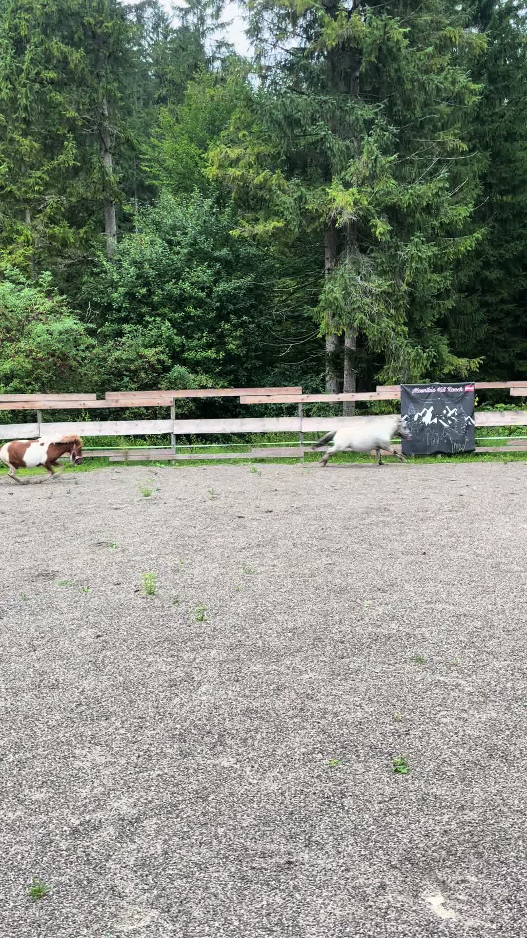 @Mountain Hill Ranch 🇦🇹