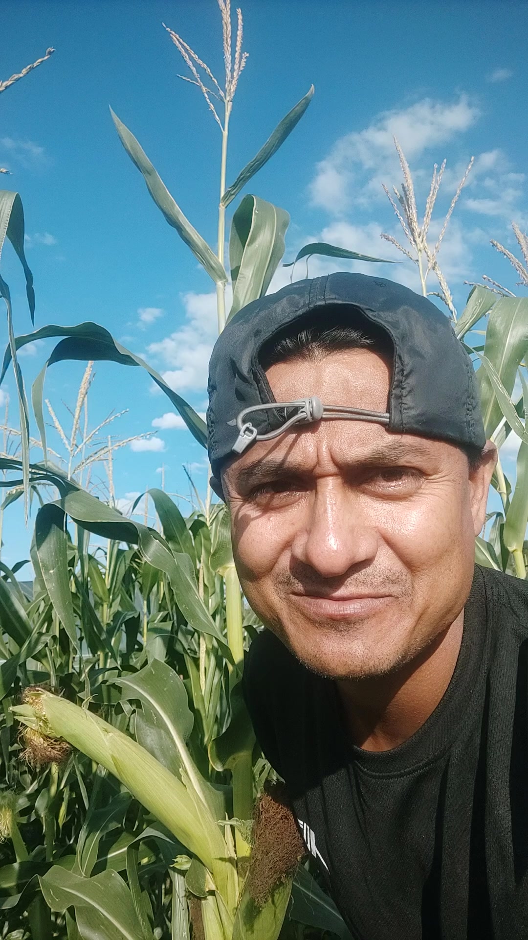 @Mohan M Thapa