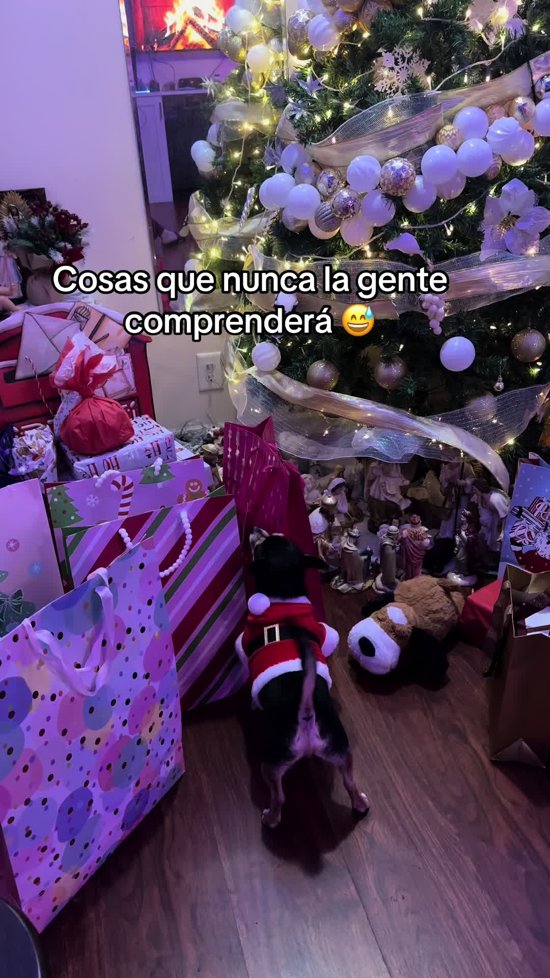 @Srj,Richar 💎