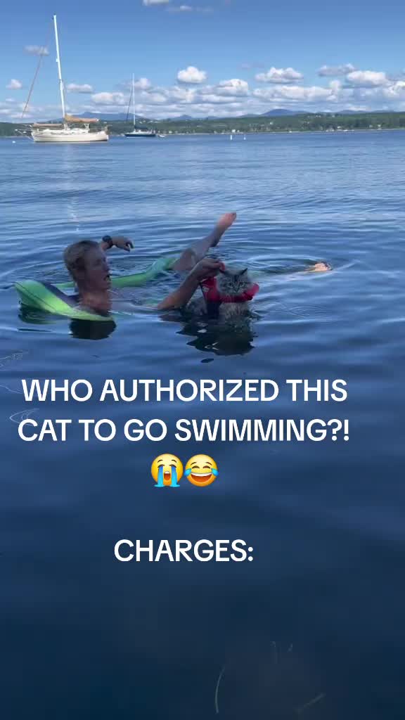 @Cat Verdict
