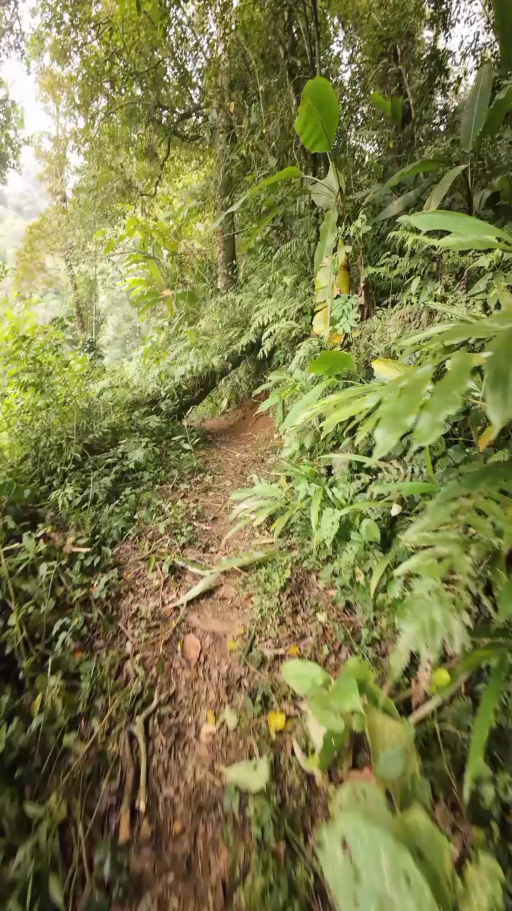 @JejakJie