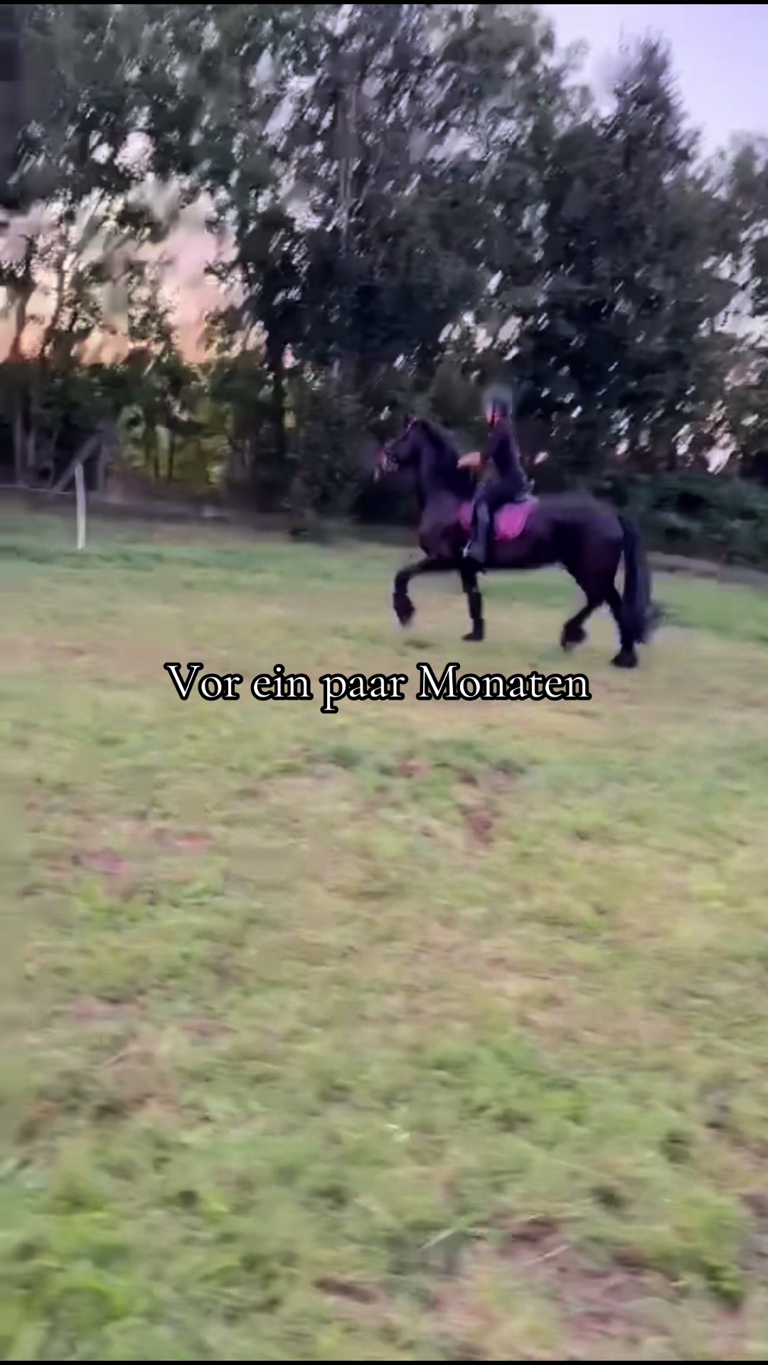 @Horses